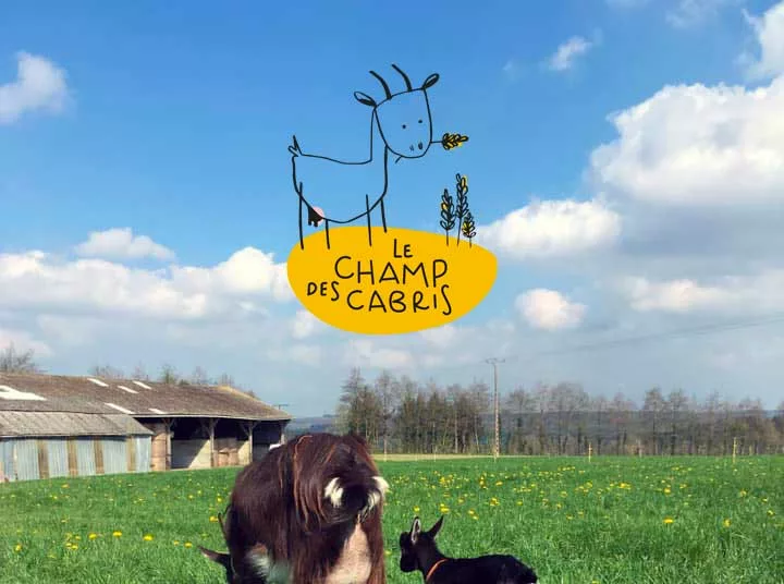 Le champ des cabris