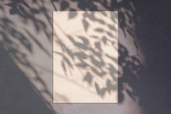 Cil sur papier – Image 2