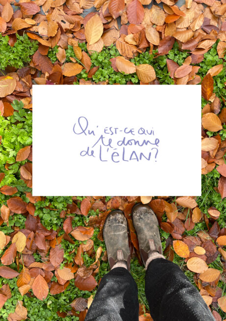 L'élan