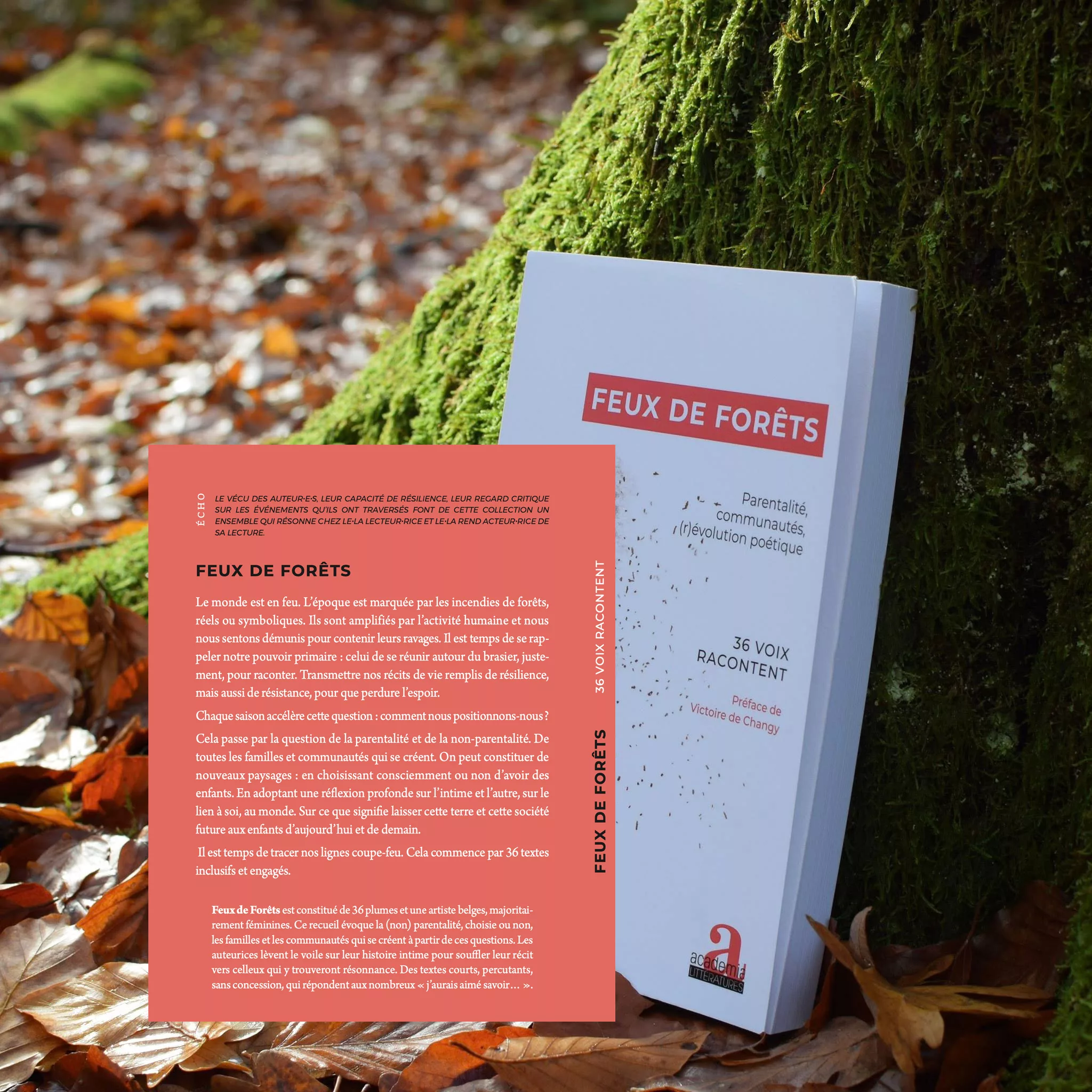 Feux de forêts