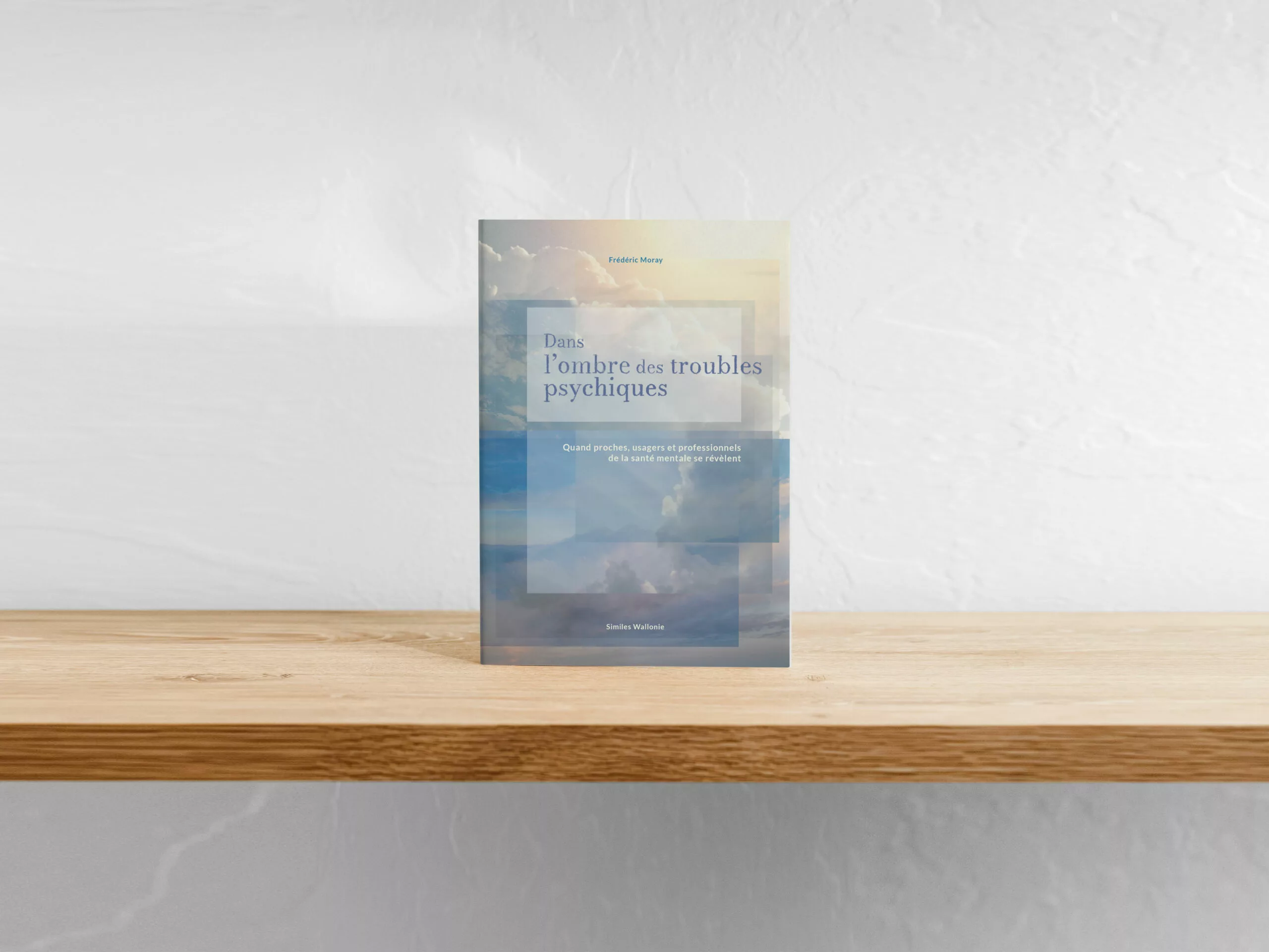 Dans l’ombre des troubles psychiques