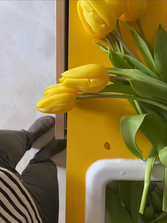 Tulipes, à la (grand) maison.
🌷